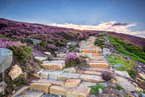 Simonside Hills path to the ridge, popular with walkers and hikers they are covered with heather in summer, and are part of Northumberland National Park, overlooking the Cheviot Hills photo