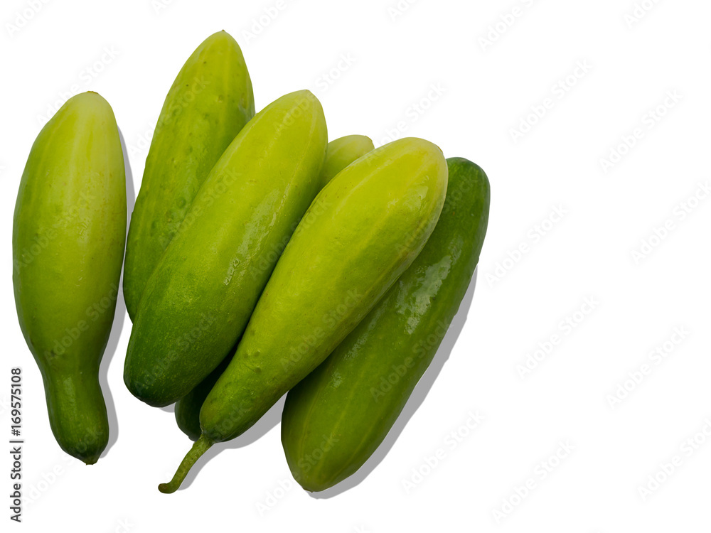 fresh cucumbers. (clipping path) fresh cucumbers. (clipping path)