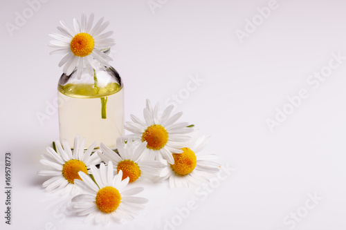Chamomile essential oil on a white acrylic background © Narsil