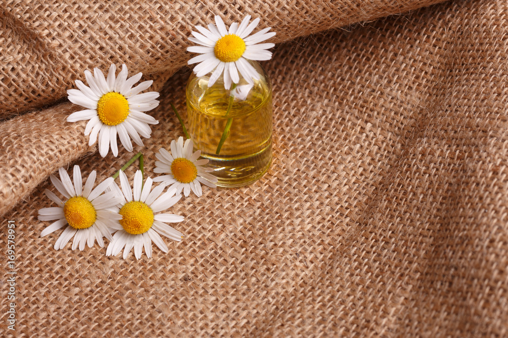 chamomile essential oil on the rustic background from the sackcloth chamomile essential oil on the rustic background from the sackcloth