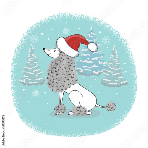 Christmas card with cartoon poodle dog in Santa hat. Vector holiday poster.