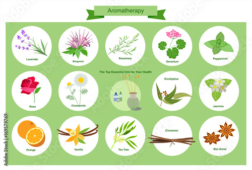 Aromatherapy - Illustration