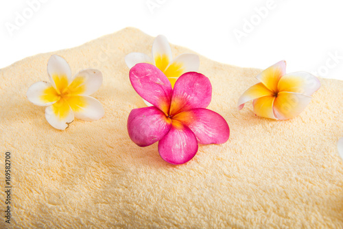 towel with frangipani flower isolated
