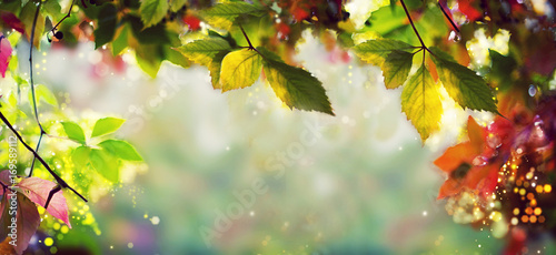Panorama Banner - Colorful autumn / fall leaves - Art work, Bokeh, Lens flares - Text, body, copy space