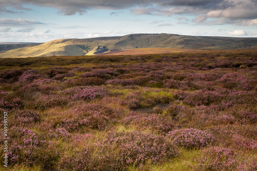 Pennine Way from Kinder Scout Stock Photo Adobe Stock