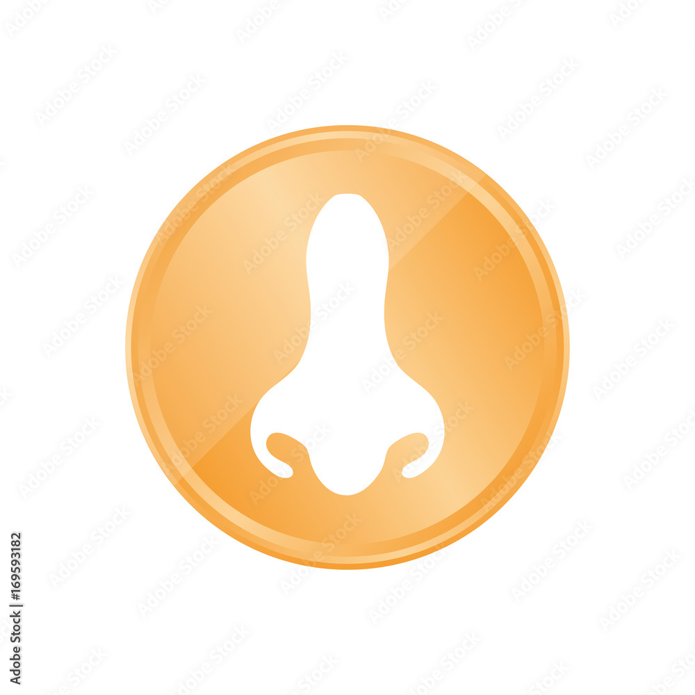 Fototapeta premium Bronze Münze - Nase