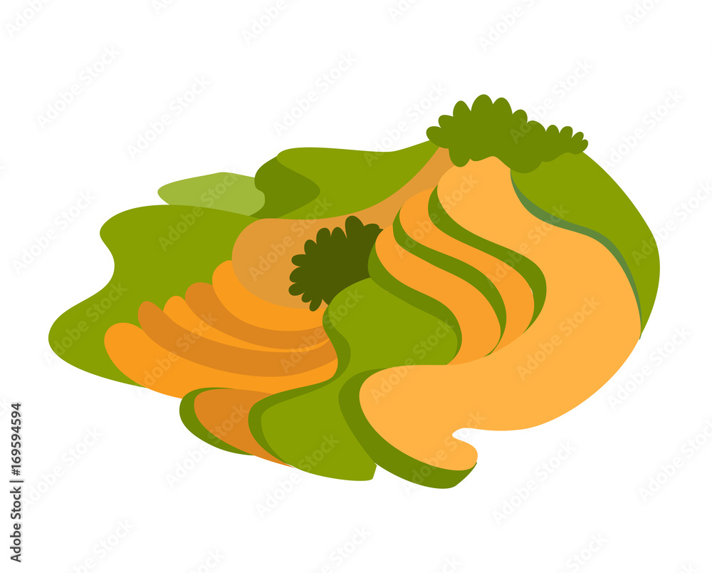 Fototapeta premium Rice field vector icon. Abstract asian meadow with plant. Flat cartoon vector illustration, isolated on white background