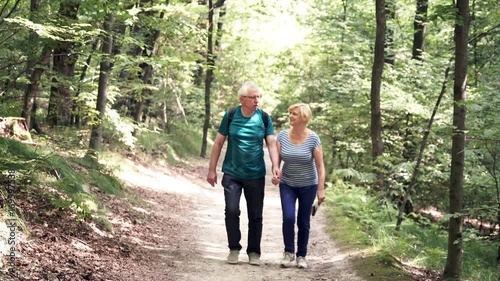 Senior, happy couple walking in the forest holding hands
