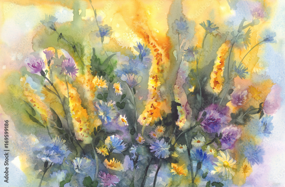 summer meadow flowers watercolor background
