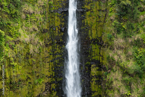 Akak Falls in the Tropical Rain Forest  Big Island  Hawaii