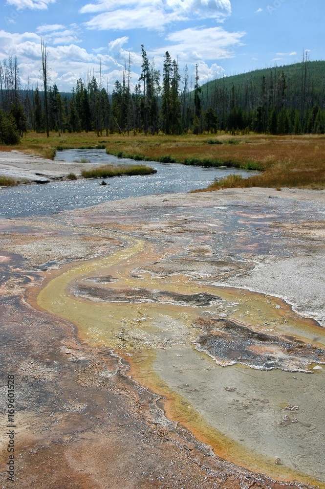 Mineral and bacterial formations in Yellowstone hot springs.