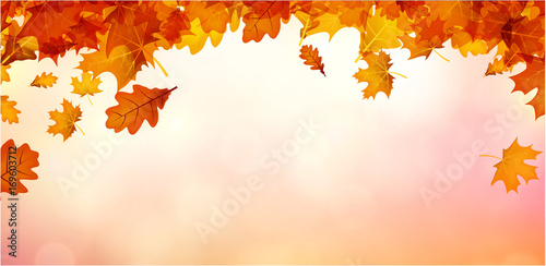 Autumn background with orange leaves.