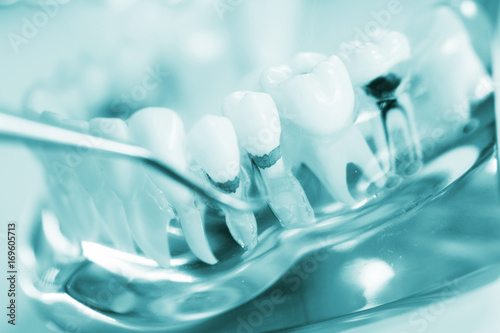 Wallpaper Mural Dental teeth dentist model Torontodigital.ca