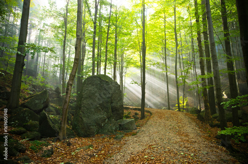 Jizera mountains, Czech Republic photo