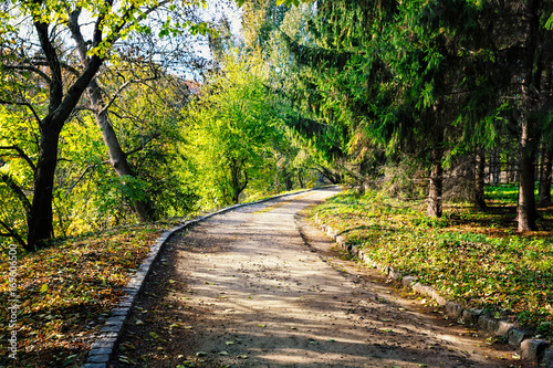 Asphalt path in a green park