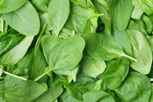 Background made of spinach