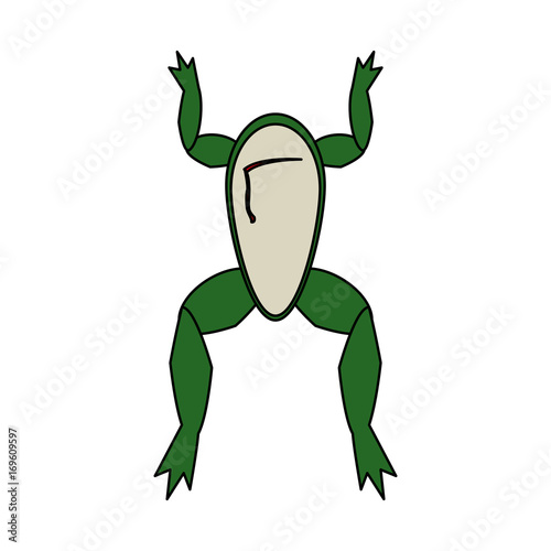 frog dissection science related icon image vector illustration design 