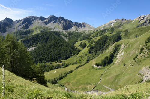 Footpath in alpine mountain in summer