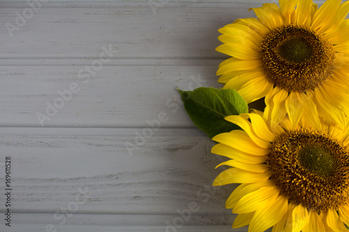 Yellow flowers on the grey wooden background 