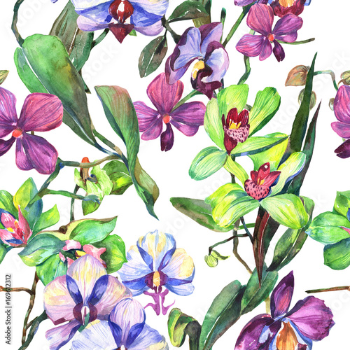 Wildflower orchid flower pattern in a watercolor style. Full name of the plant  orchid flower. Aquarelle wild flower for background  texture  wrapper pattern  frame or border.