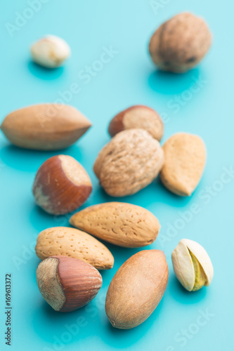 Different types of nuts in the nutshell.