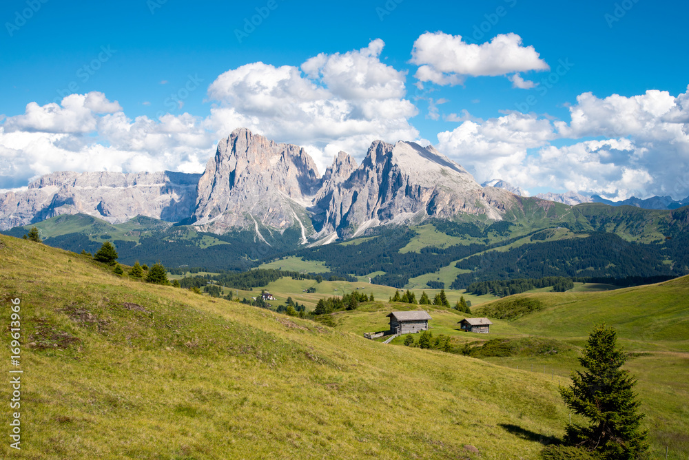 Berge Langkofel und Plattkofel auf der Seiser Alm