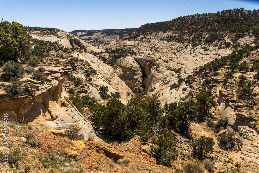 Upper Calf Creek Canyon in the Grand staircase Upper Calf Creek Canyon in the Grand staircase