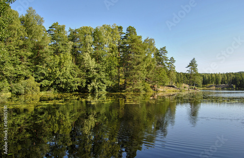 Forest of different shades of green. A calm summer morning on the lake. Reflection of a green forest and a blue sky in the lake. Green trees by the lake on a sunny day
