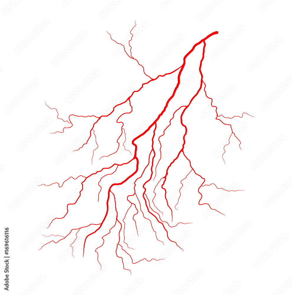 Foto eye vein vector symbol icon design