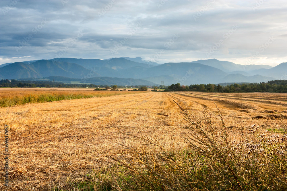Summertime rural landscape against the background of mountains Western Carpathians, Liptovsky Mikulas district, Zilina Region in the Slovakia