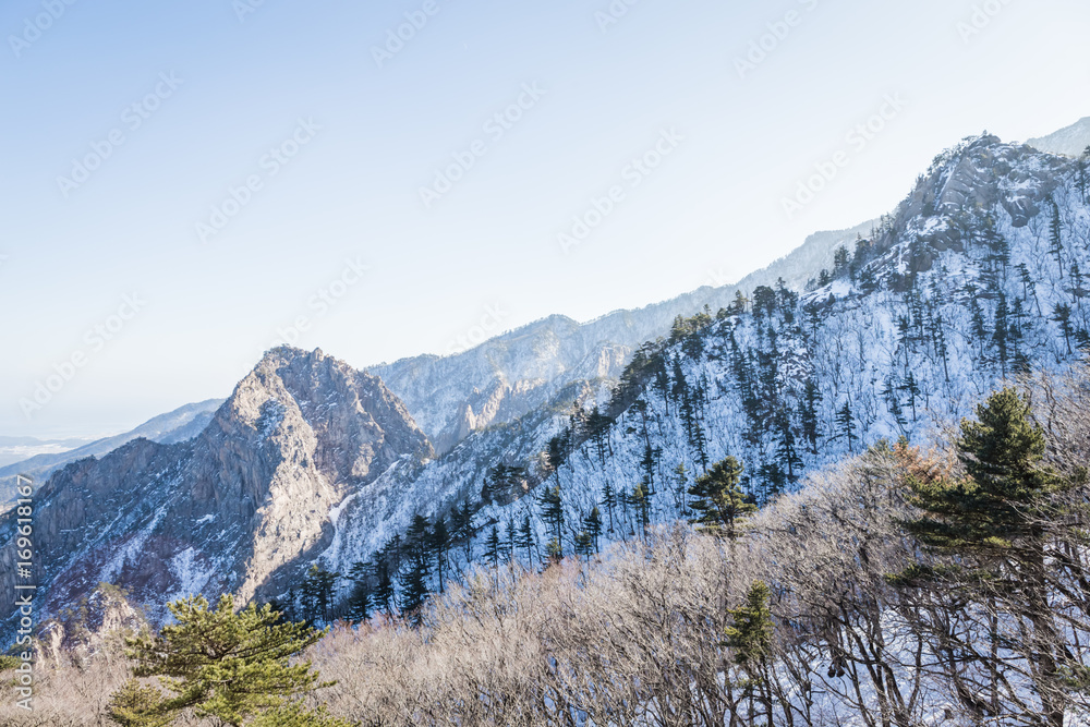 mountain of korea mountain of korea