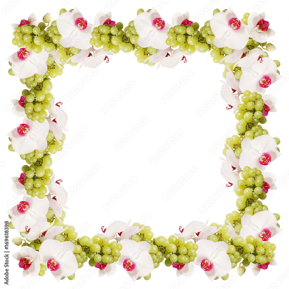 Frame of grapes and orchids on a white background Frame of grapes and orchids on a white background