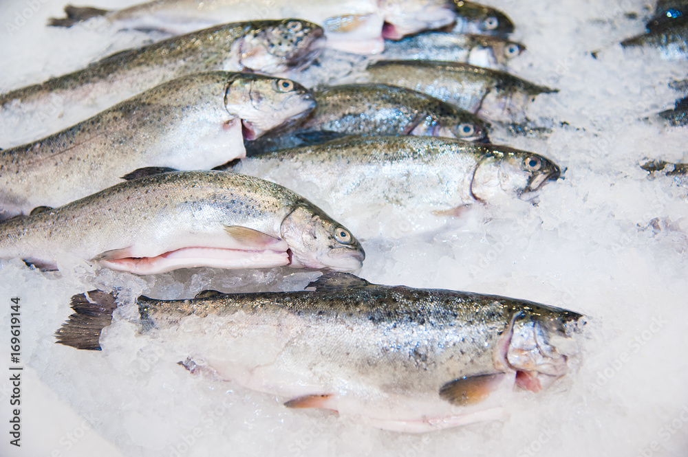 Pile of fish on ice