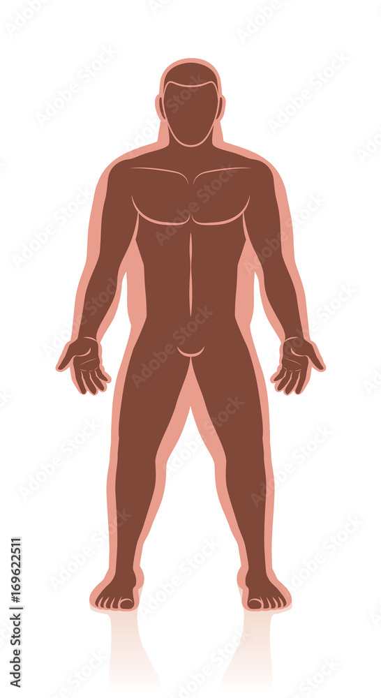 Weight loss - before after image of normal weight and overweight in comparison of a mans body with and without fat deposits - isolated vector illustration. Weight loss - before after image of normal weight and overweight in comparison of a mans body with and without fat deposits - isolated vector illustration.