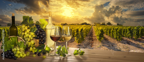Wine at sunset, vineyard landscape 