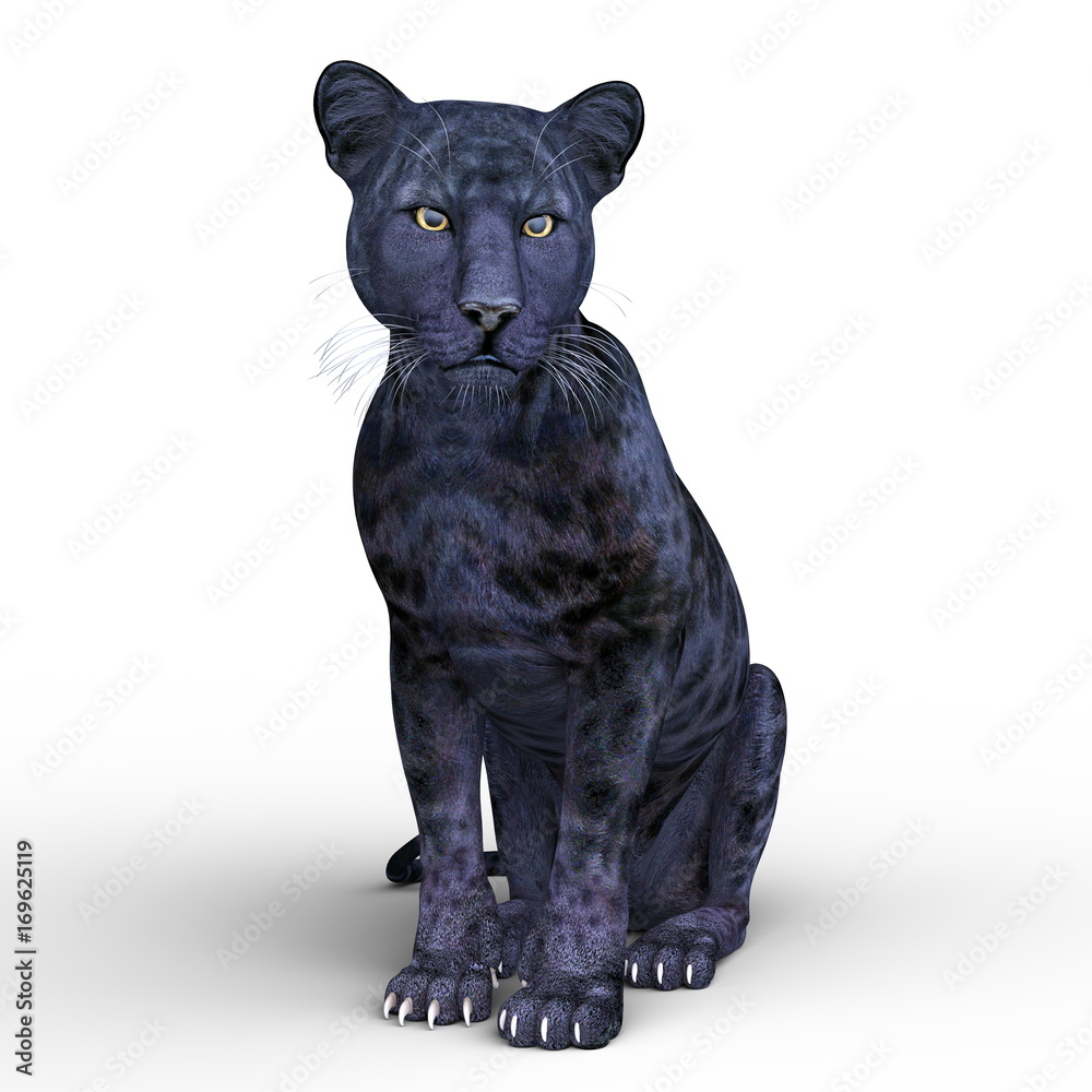黒ヒョウ Stock イラスト Adobe Stock