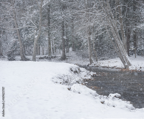 Snow covered tree limbs and empty horse paddock by stream