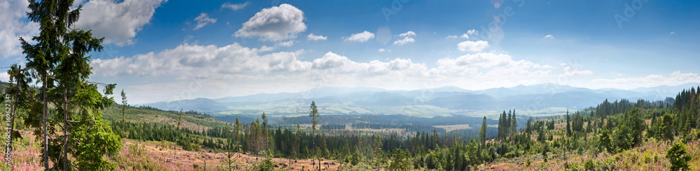 Summertime landscape banner, panorama with view of the Poprad River valley, mountains High Tatras, part of the Western Carpathians, Presov Region in the Slovakia