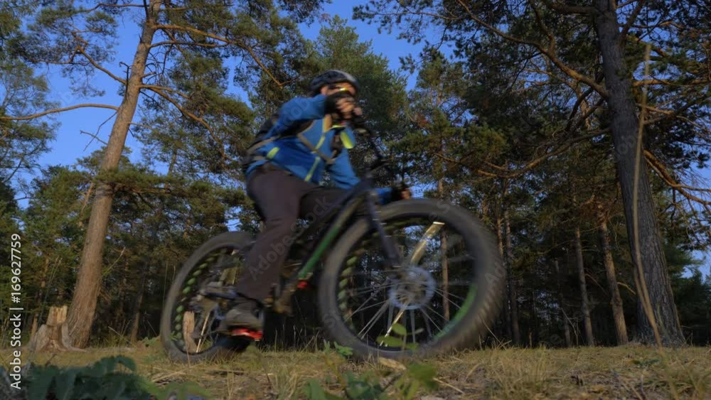 Fat bike also called fatbike or fat-tire bike in summer riding in the forest. Fat bike also called fatbike or fat-tire bike in summer riding in the forest.