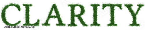 Clarity - 3D rendering fresh Grass letters isolated on whhite background.