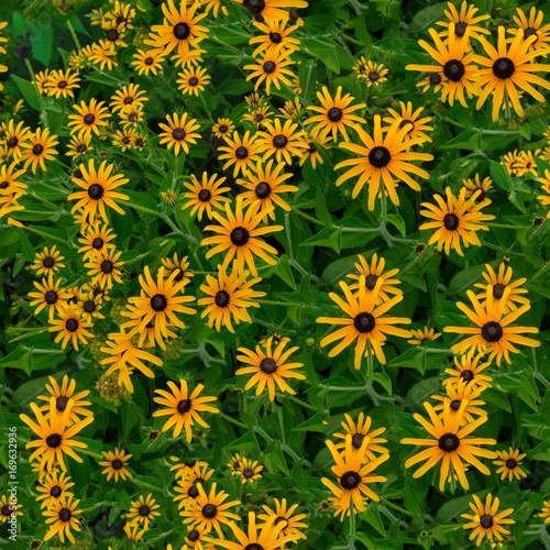seamless texture of yellow flowers