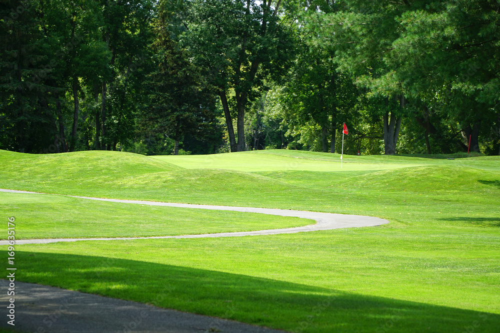 Fototapeta premium winding pathway in green meadow in golf course 