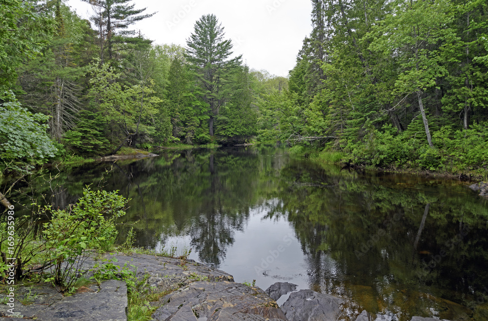 Backwater Bayou in the North Woods Backwater Bayou in the North Woods