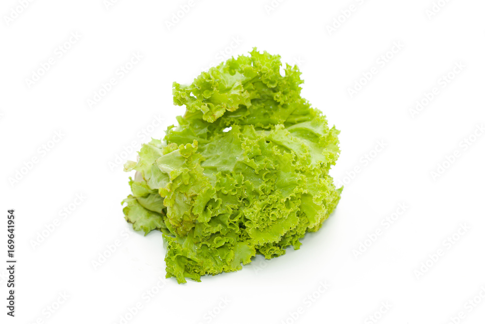 fresh lettuce isolated on white background fresh lettuce isolated on white background