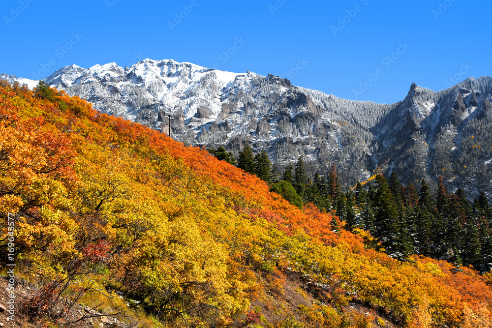 Early snow in autumn time in Colorado near Ourey