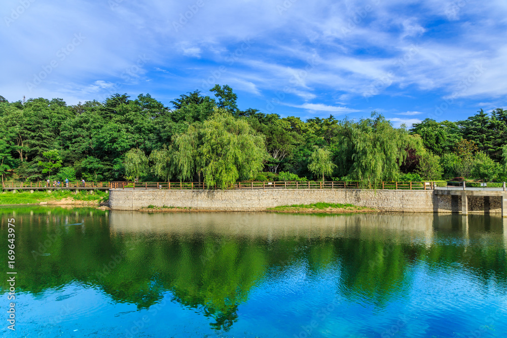 Fototapeta premium Park lakes