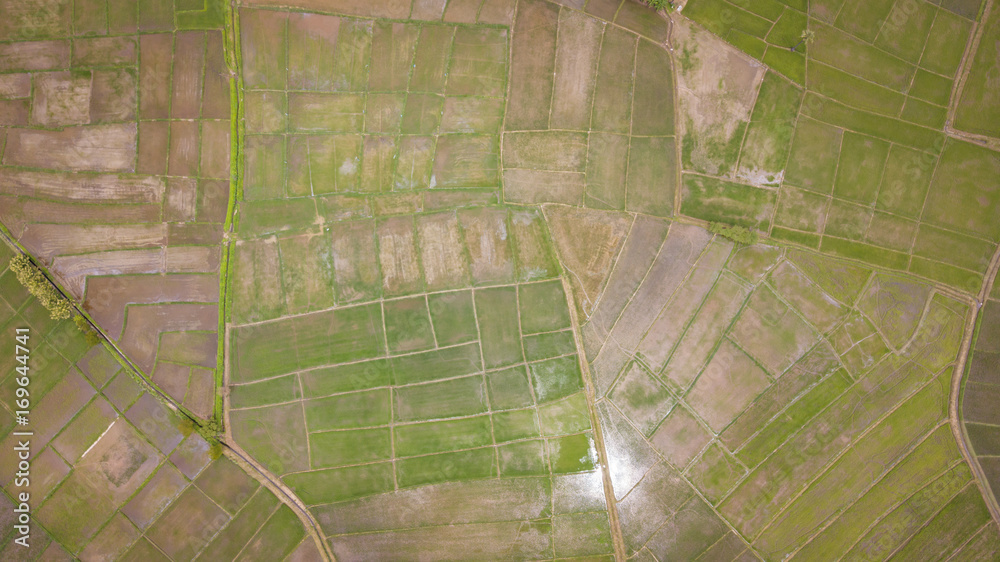 Obraz premium Aerial top view photo from flying drone of the Buddhist temple and fields in the countryside of Chiang Mai, Northern Thailand