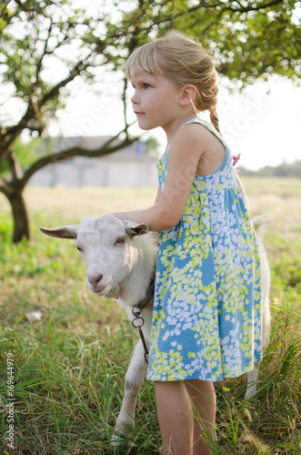 Little blond girl with goat on the pasture. Four year old lady with domestic animal on the fa