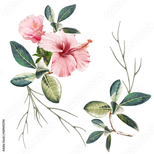 illustration of beautiful flower on white background © pornphimonwong