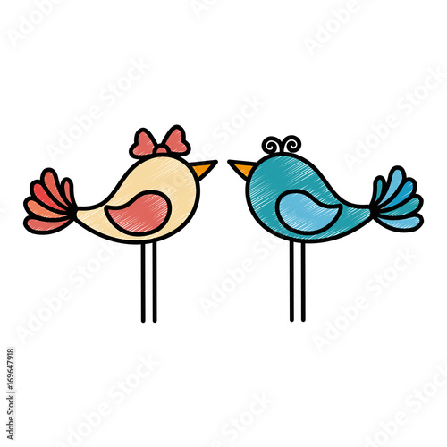 cute couple of doves icon over white background colorful design vector illustration